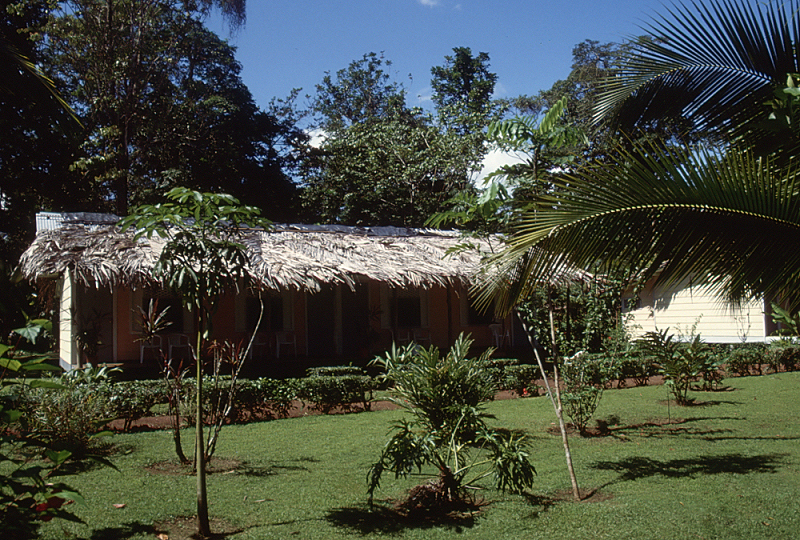 12_Lodge, Tortuguero.jpg